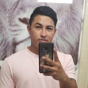 Carlos 29 Chantilly