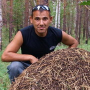 Nikolay 55 Chelyabinsk