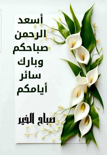 hamza (@hamza3270) — my photo № 2