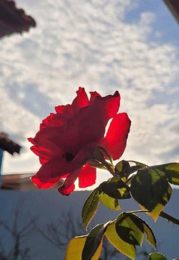 احمد (@0e3rhppw8k) — my photo № 1