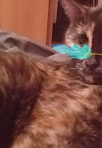 Mariya (@mariya204553) — my photo № 1