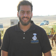 Wesam 33 Cairo