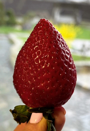 Aleksandr (@aleksandr1163577) — my photo № 1