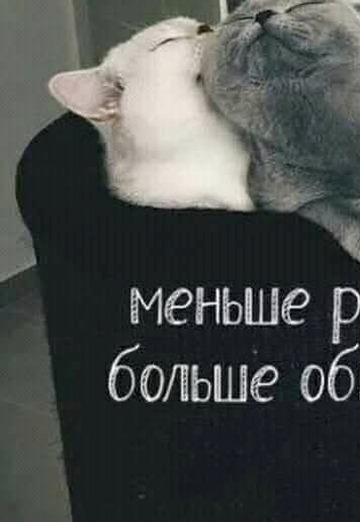 Ledi (@ledi2924) — my photo № 1