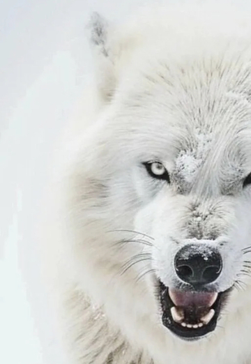 Madina (@markiza443) — my photo № 1