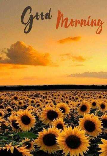 Azhar (@azhar164) — my photo № 2