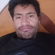 Isaias 31 Puno