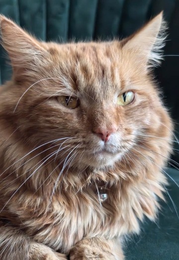 Marina (@marina301061) — my photo № 2