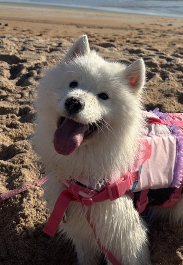 Mike (@mike8073) — my photo № 3