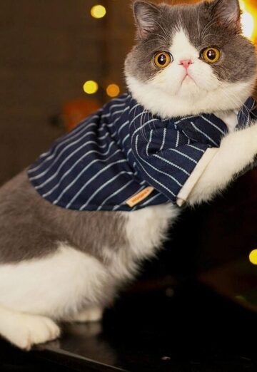 Muhriddin (@muhriddin1023) — my photo № 1