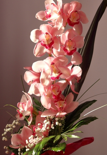 kd (@kd178) — my photo № 1