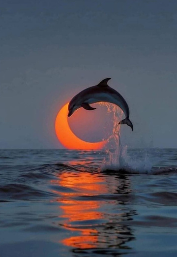 Mustafa (@mustafa5415) — my photo № 2