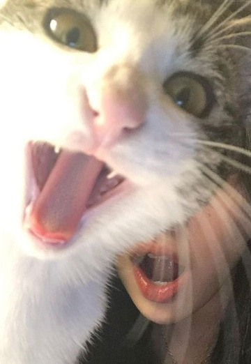 Artem (@artem244510) — my photo № 1