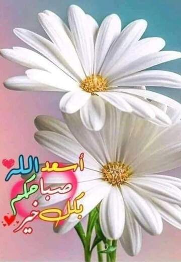 Mohammed (@mohammed2127) — my photo № 3