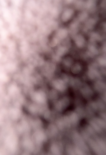 Mursleen (@mursleen) — my photo № 1