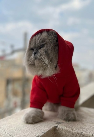 Mohammed (@mohammed2219) — my photo № 3