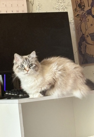 Ekaterina (@ekaterina218888) — my photo № 2