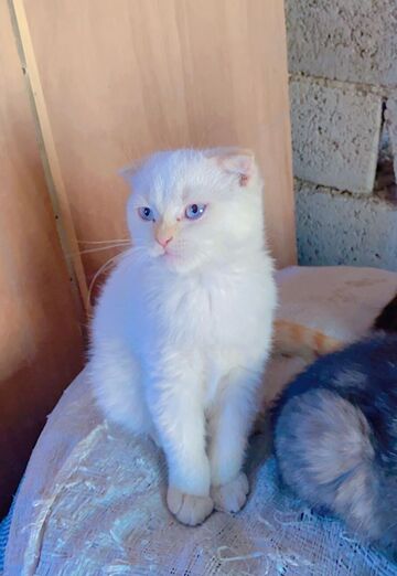 Hussein (@hussein353) — my photo № 4