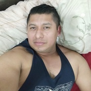 Carlos 33 Chantilly