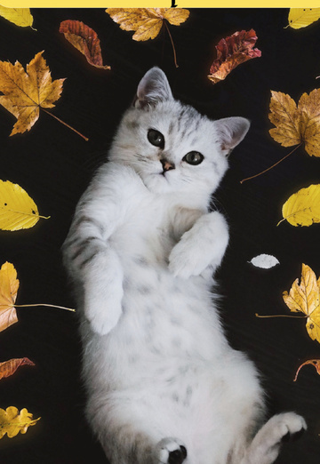 harun (@harun383) — my photo № 1