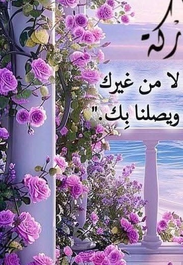 محمد (@3ullcycimm) — my photo № 1