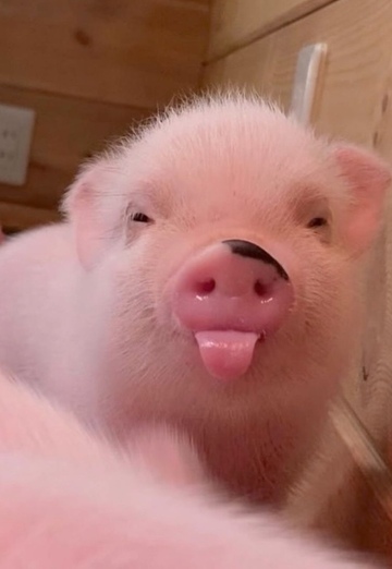 민서 (@el038y4j1b) — my photo № 1